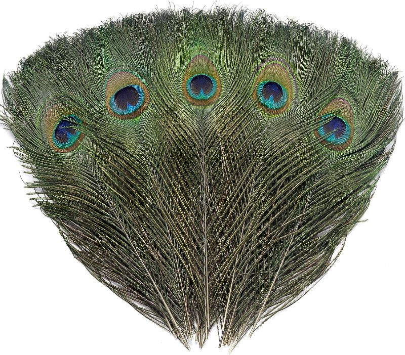 Photo 2 of Home Decor LED Light Up Party Table Decoration ,6’’, White(B),12 PCS Real Natural Peacock Eye Feathers 10-12 inch for DIY Craft, Wedding and Holiday Decorations
