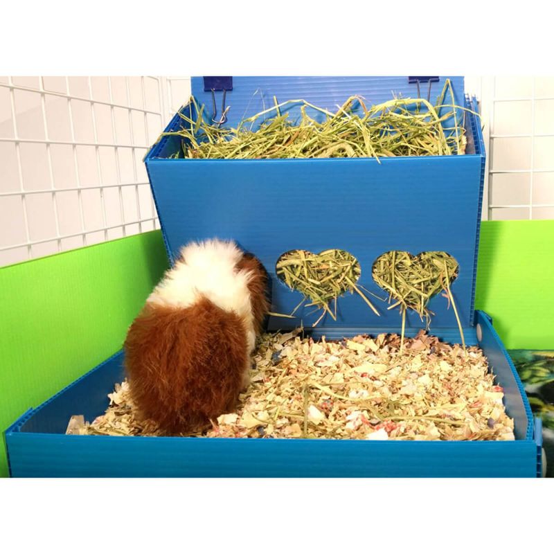 Photo 1 of Guineapig High-Capacity Hay Bin Made From Coroplast (BLUE)