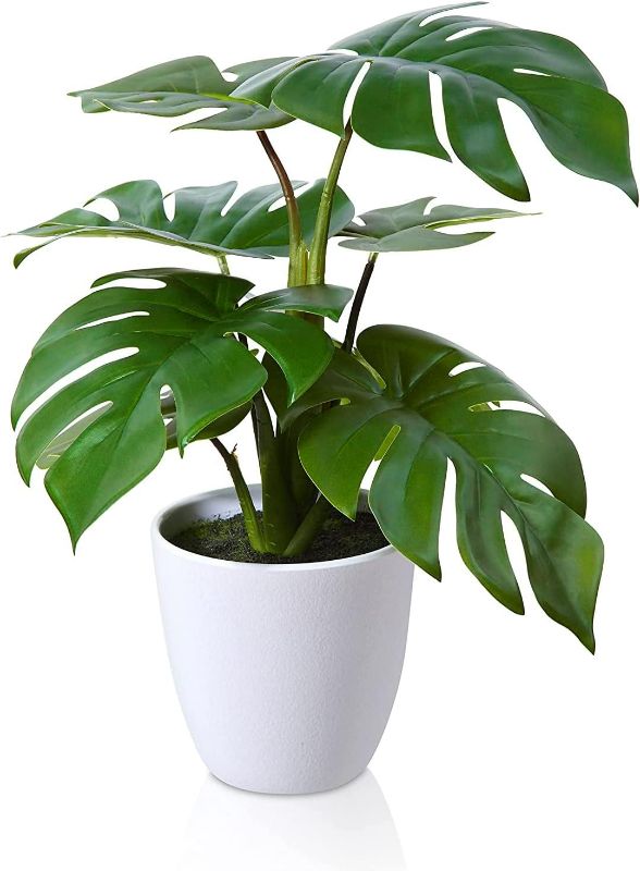 Photo 1 of HCCY Fake Plants 7.2" with 6 pcs Leaves Artificial Plants Decorative for Home Decor Faux Plants in Pot