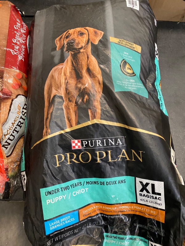 Photo 2 of Purina Pro Plan Large Breed Dry Puppy Food, Chicken and Rice Formula - 47 lb. Bag