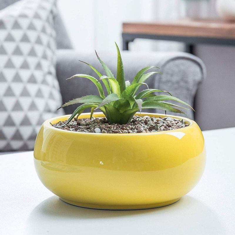 Photo 1 of MyGift 7 Inch Round Glossy Yellow Ceramic Plant Pot with Drainage Hole, Small Shallow Planter Bowl for Succulent, Cactus and Fillers