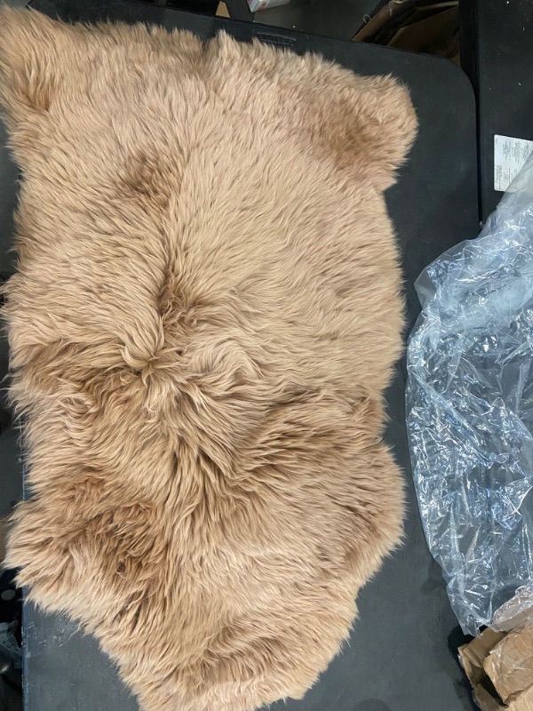 Photo 2 of Super Area Rugs Genuine New Zealand Fluffy Sheepskin Rug for Bedroom Living Room, Beige Brown, Large 2' x 3' Single Pelt