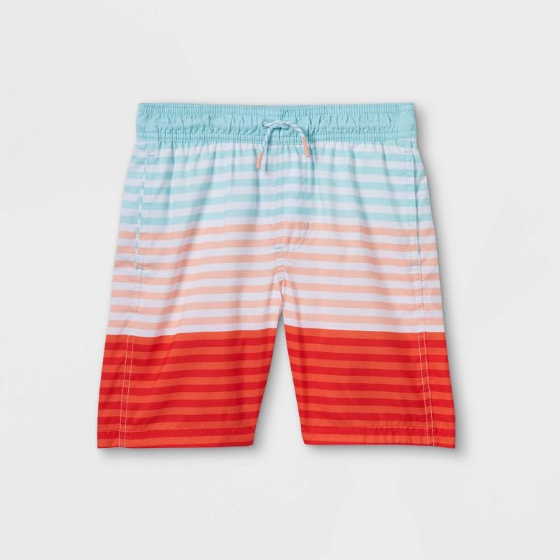 Photo 1 of Boys' Striped Colorblock Volley Swi Trunks - Cat & Jack™
SIZE M 8/10