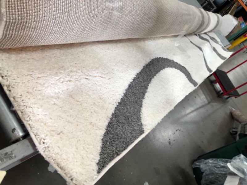 Photo 1 of **USED, NEEDS CLEANING**
 Carolyn Cozy Soft & Plush Shag Area Rug 210X420