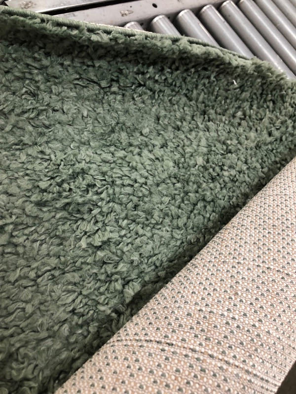 Photo 1 of **USED, NEEDS CLEANING**
Kara Solid Shag Green 6 ft. x 6 ft. Indoor Round Area Rug
