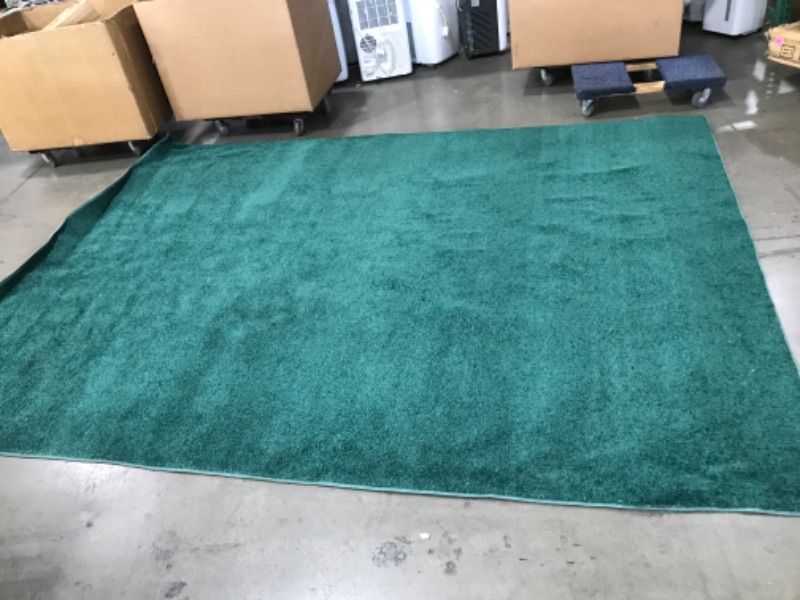 Photo 1 of 11'10" x 8'10" Green area rug