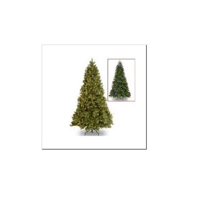 Photo 1 of Downswept Douglas R Pencil Slim Fir Tree with Clear Lights, 108"
