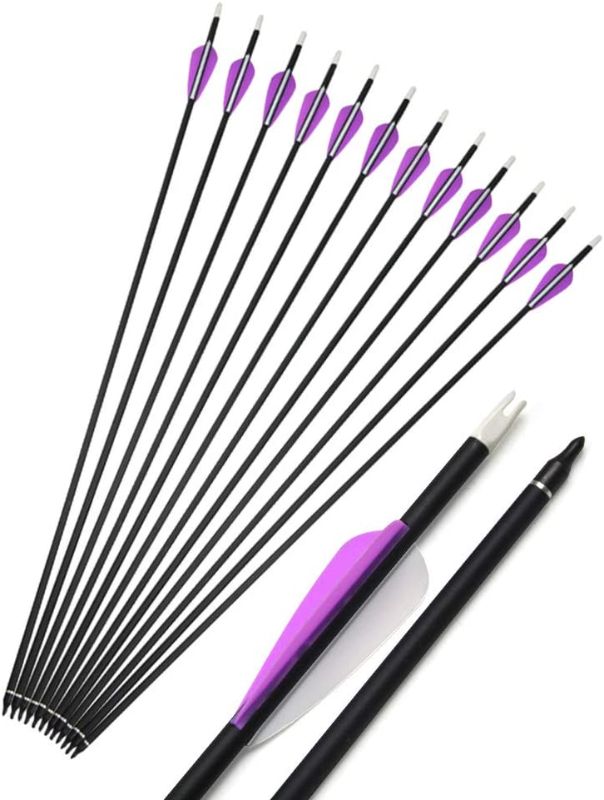 Photo 1 of 3   12 Pcs 20 Inch Archery Carbon Arrows 