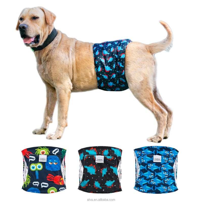 Photo 1 of 3 PACK**Cute Bone Doggie Diapers ?
