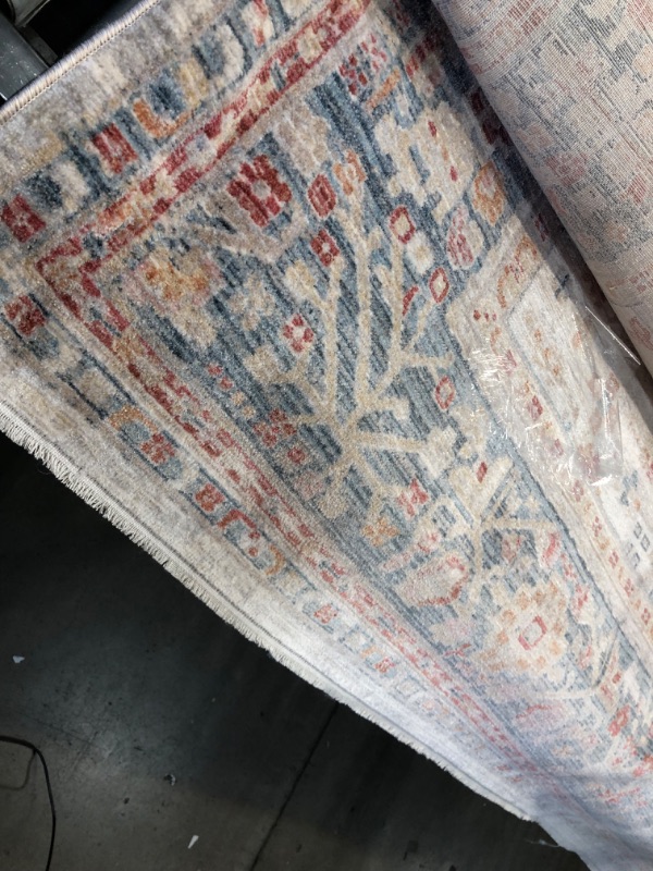 Photo 2 of **used, needs cleaning**
 Ari Worn Medallion Area Rug, 8' x 10', Beige
