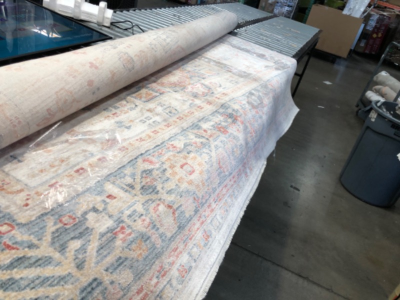 Photo 1 of **used, needs cleaning**
 Ari Worn Medallion Area Rug, 8' x 10', Beige
