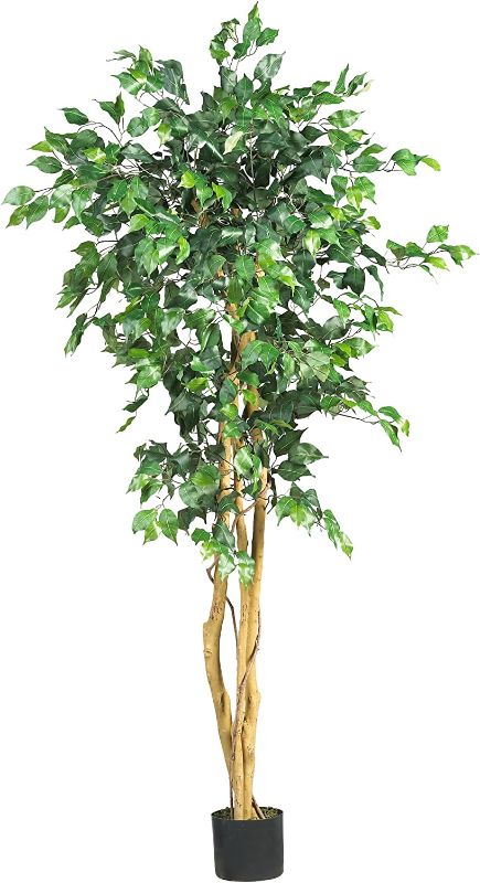 Photo 1 of Nearly Natural 5357 4ft. Golden Cane Palm Tree,Green & 5208 Ficus Artificial Tree with Curved Trunk, 5-Feet, Green
