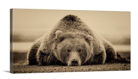 Photo 1 of 24 X 38 INCH CANVAS  Deep Sleep Wall Art
