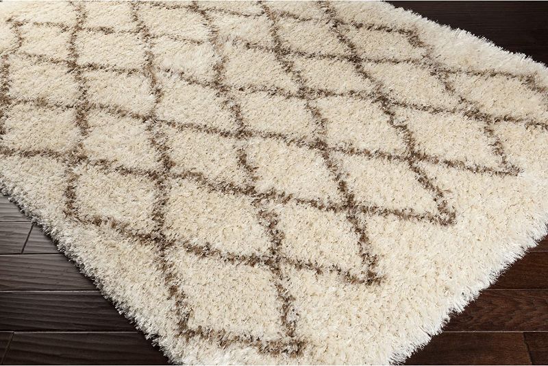 Photo 1 of 
Surya Rhapsody RHA-1007 Shag Hand Woven 40% Wool / 40% Polyester Winter White 4-3"x5-7"' Area 