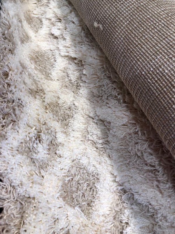 Photo 2 of 
Surya Rhapsody RHA-1007 Shag Hand Woven 40% Wool / 40% Polyester Winter White 4-3"x5-7"' Area 