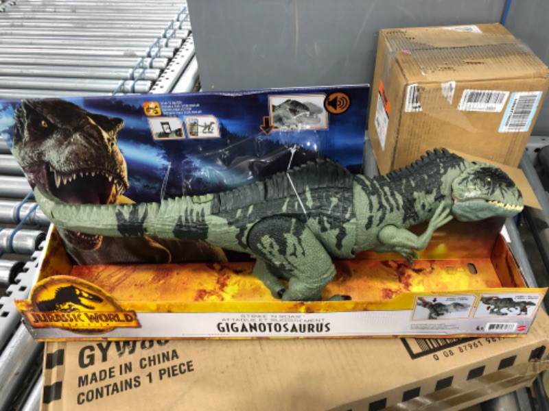 Photo 2 of Jurassic World Dominion Dinosaur Toy, Strike N Roar Giganotosaurus, Action Figure with Striking Motion and Sounds?? Frustration Free Packaging