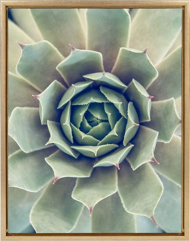 Photo 1 of Kate and Laurel Sylvie Succulent 1 Color Photograph Framed Canvas Wall Art by F2 Images, 18x24 Gold
