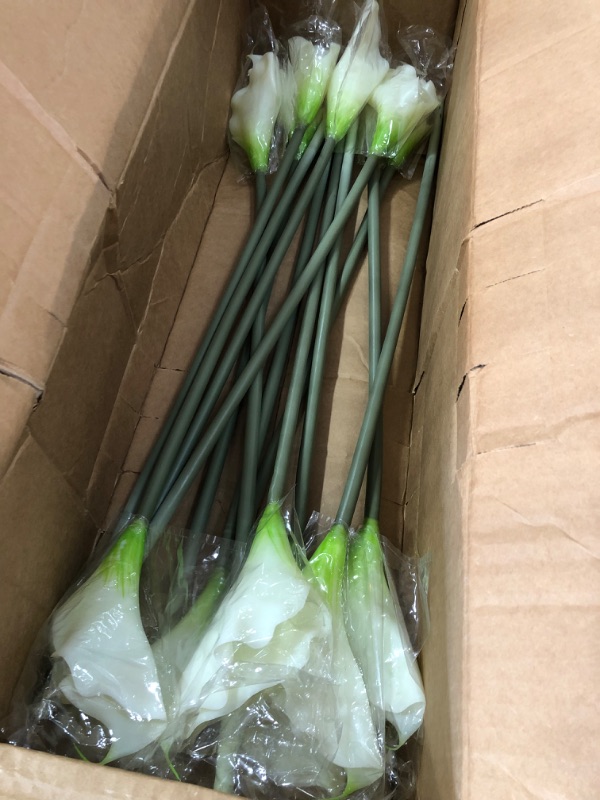 Photo 2 of 28” Calla Lily Artificial Flower (Set of 12)
SKU: 2006-S12-CR