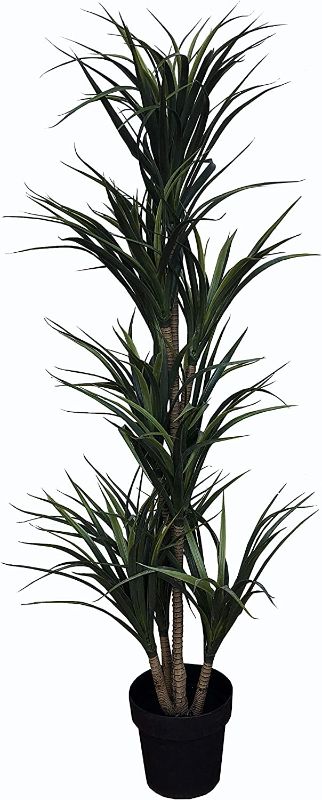 Photo 1 of AMERIQUE Gorgeous & Unique 5 Feet Multi-Head Agave Yucca Artificial Plant Tree with Nursery Pot, Feel Real Technology, 10 Branches & 228 Leaves, Green
