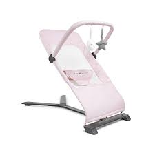 Photo 1 of Baby Delight Alpine Deluxe Portable Bouncer | Infant | 0 – 6 Months | Peony Pink
