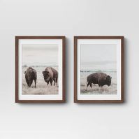 Photo 1 of (Set of 2) 12" x 16" Buffalo Framed Prints - Threshold™

