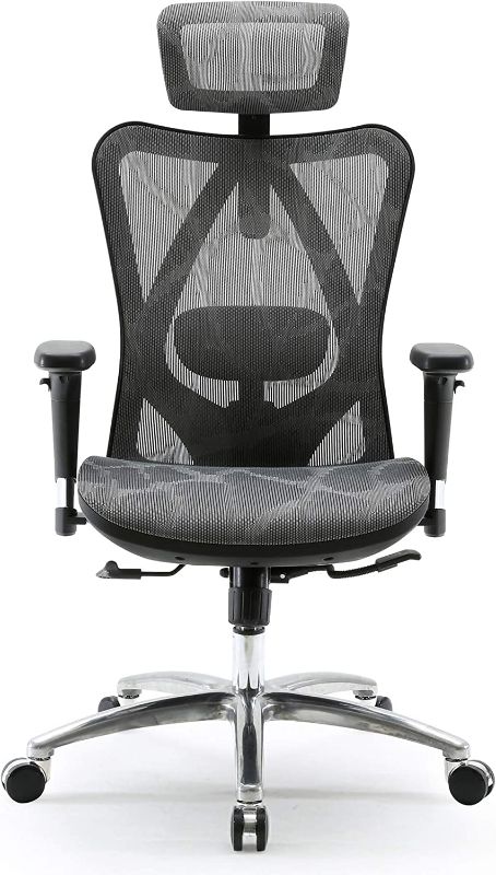 Photo 1 of Sihoo Ergonomic Office Chair, Computer Desk Chair, 3D Adjustable High-Back, Breathable Skin-Friendly Mesh with Armrest, Lumbar Support 
