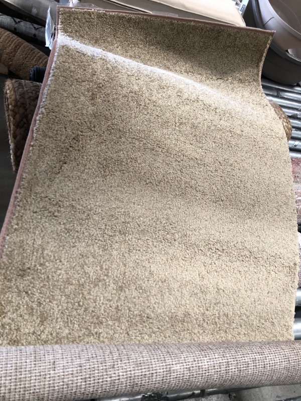 Photo 1 of 2'X4' BEIGE AREA RUG 