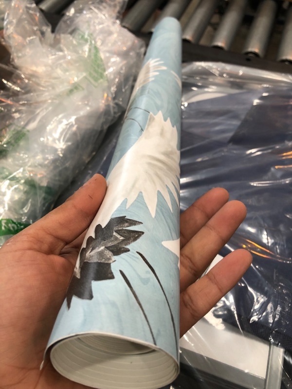 Photo 1 of 18sqft wallpaper decor 