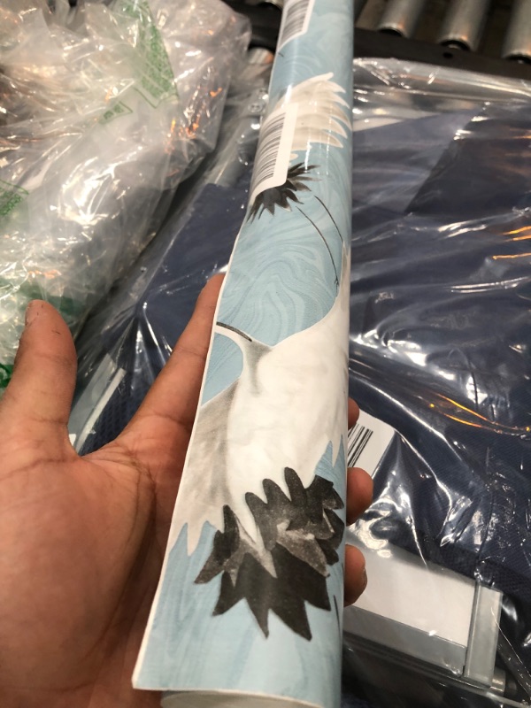 Photo 1 of 18sqft wallpaper decor 