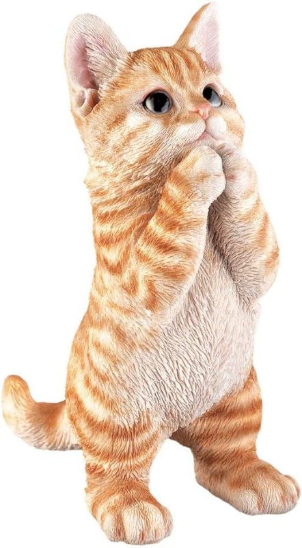 Photo 1 of Cat Statues Garden Decor by Elfengarden, Praying Kittens Sculpture Outdoor Patio Ornament, Cute Animal Resin Figurine Art Decorative Indoor Home Office, Gifts for Cat Lovers for Women [Orange]  -- FACTORY SEALED --
