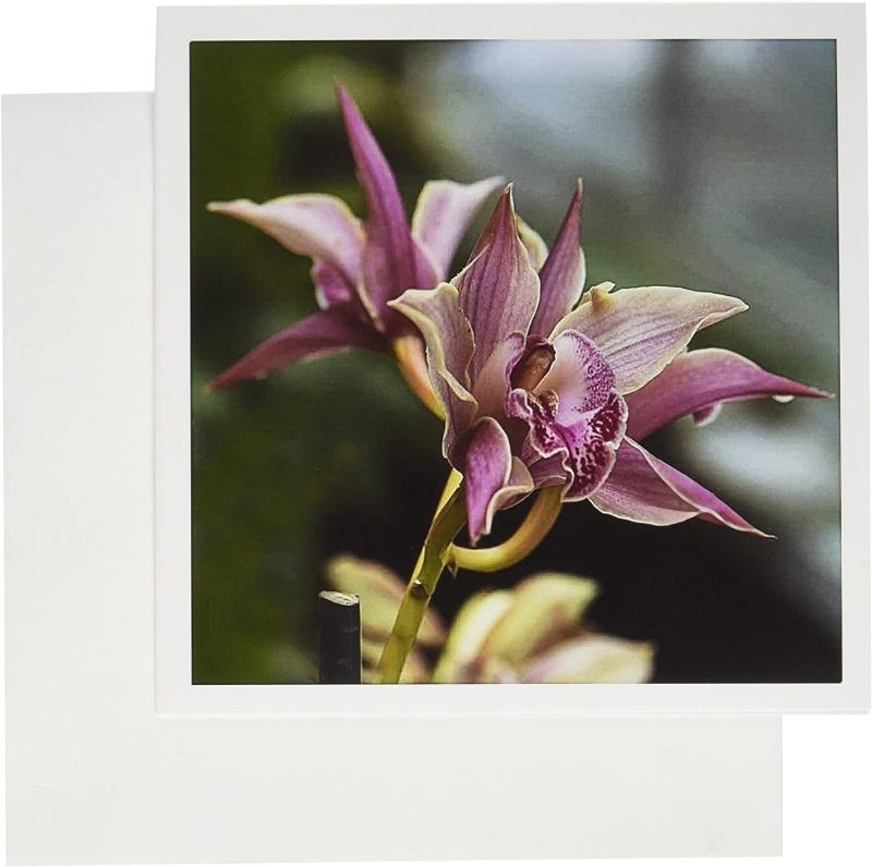 Photo 1 of 3dRose Pink Orchids Greeting Cards, Set of 12