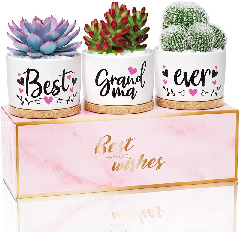 Photo 1 of  Best Grandma Ever Succulent Pots for Plants Indoor Ceramic Planter, Gift Boxed 