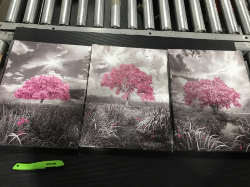 Photo 1 of 3 PIECES BLACK AND WHITE CANVAS WALL ART PINK TREE LANDSCAPE PICTURE PRINTS FRAMED 