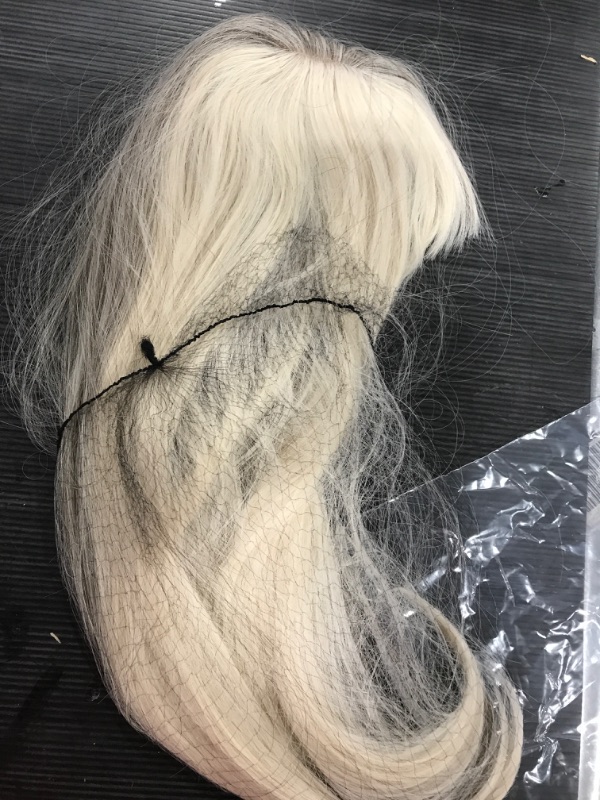 Photo 1 of blond and gray wig long 