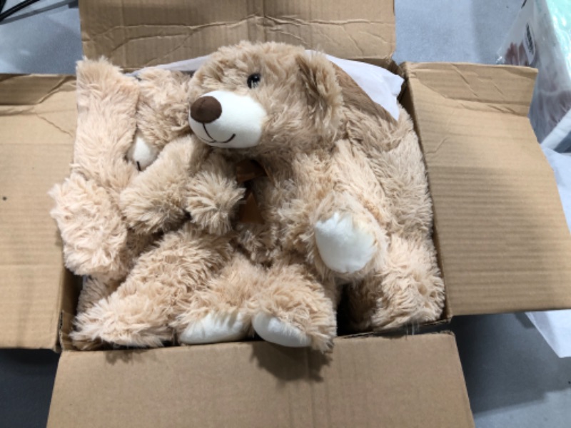 Photo 1 of 5 PACK OF TEDDY BEARS