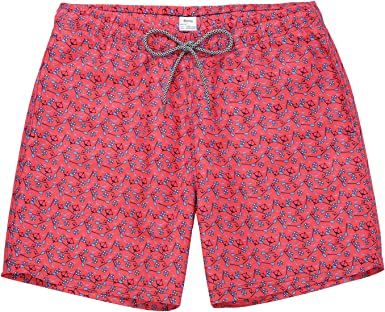 Photo 1 of Biwisy Mens Swim Trunks Quick Dry Swim Shorts with Mesh Lining Funny Beach Shorts
