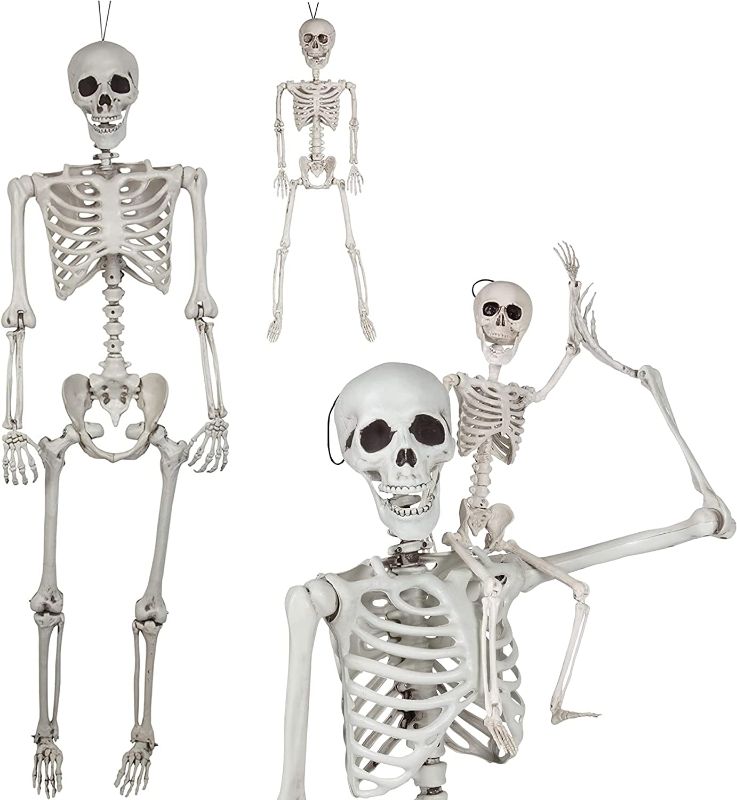 Photo 1 of  Halloween Life Size Skeleton Value 2 Pack - Adult (5' 4") and Child (2') Decorations w Bending Joints - Weatherproof Human Bones Body Prop - Perfect for Fall Indoor/Outdoor Use
