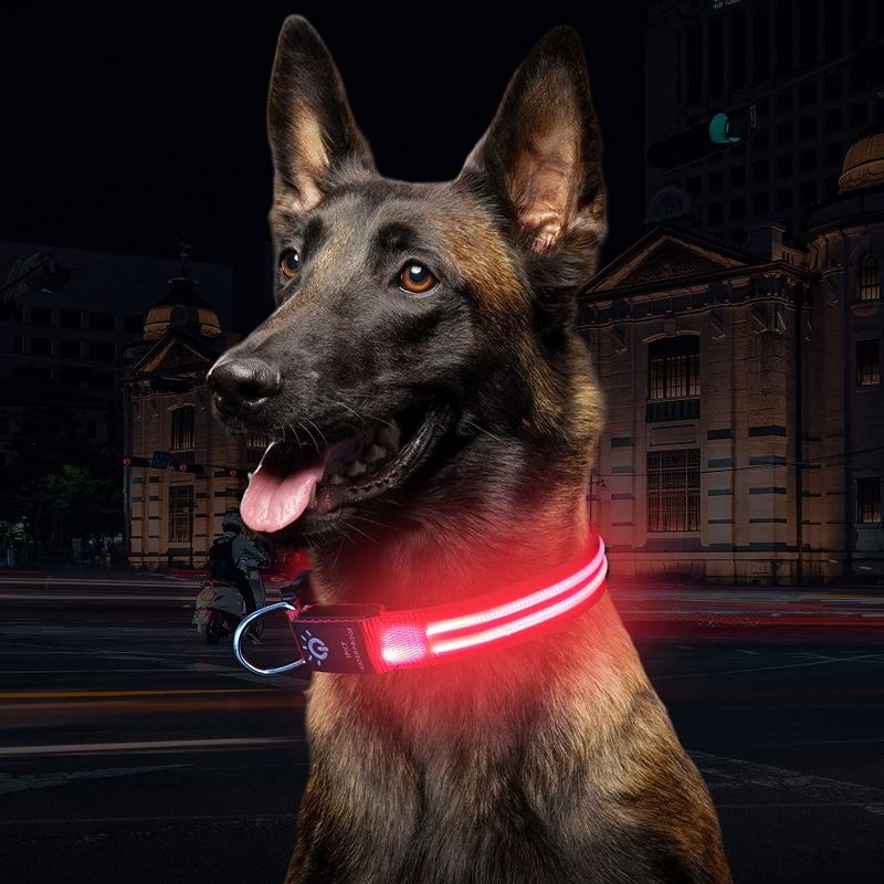Photo 2 of NASTRA Light up Dog Collar,Flashing LED Dog Collar Light,USB Rechargeable Safety Dog Collar Lights for The Dark,Cut to Fit Any Size & Increased Your Pet Visibility Green (S)
