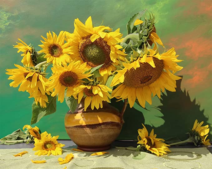 Photo 1 of Deangshi DIY Paint by Numbers(PBN) Flowers Kits for Adults,Easy Acrylic Watercolor Sunflower Oil Paint by Number Sets for Beginner Kids on Canvas 16X20 Inch,Painting by Numbers Kit Without Frame