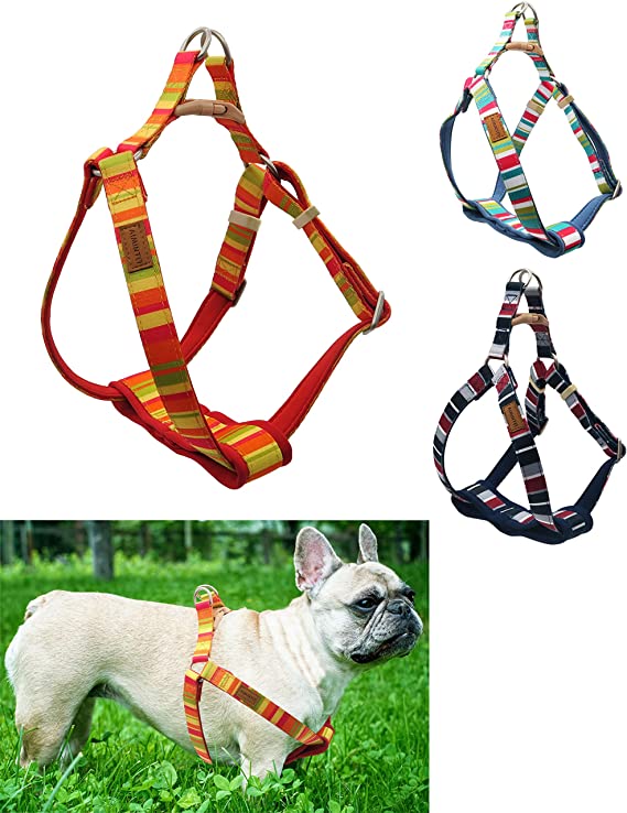 Photo 1 of Aiminto Neoprene Padded Adjustable Dog Halter Harness, Step in, Anti-Choke — Perfect for Walking — Small/Medium/Large Breeds
SIZE M 