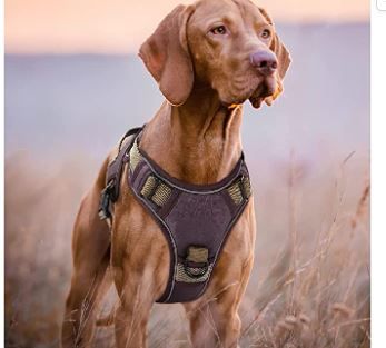 Photo 1 of YVYV Tactical Dog Harness for Small, Large Dogs No Pull 