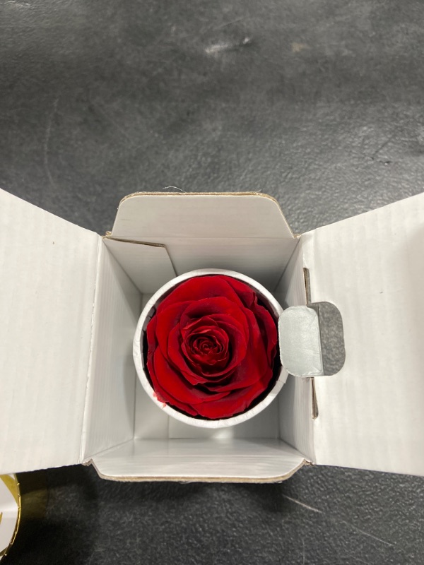 Photo 2 of Yamonic Preserved Real Roses in a Box, Rose Box Gifts for Her, Handmade Roses That Last 2 to 3 Years, Brithday Anniversary Valentine's Day Gifts for Her Women (Red Rose, White Box)
