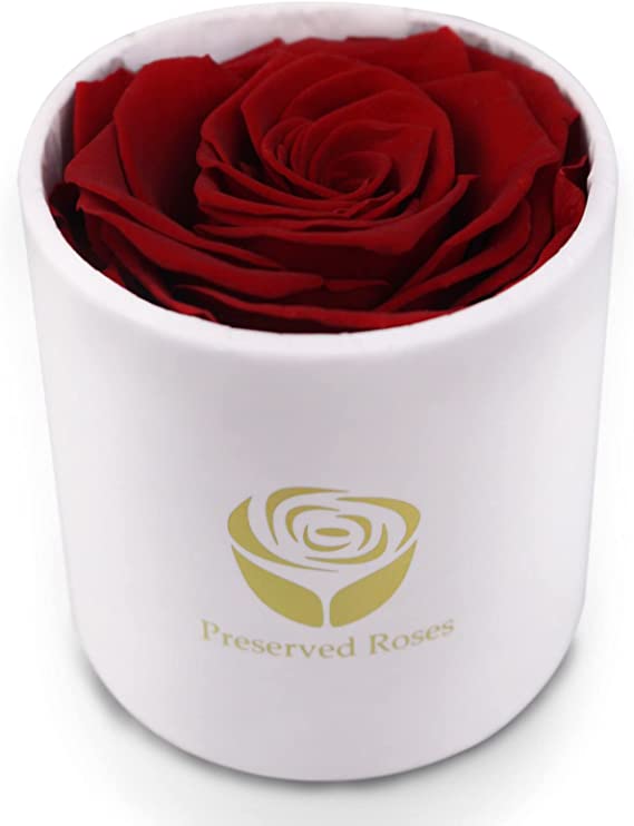 Photo 1 of Yamonic Preserved Real Roses in a Box, Rose Box Gifts for Her, Handmade Roses That Last 2 to 3 Years, Brithday Anniversary Valentine's Day Gifts for Her Women (Red Rose, White Box)
