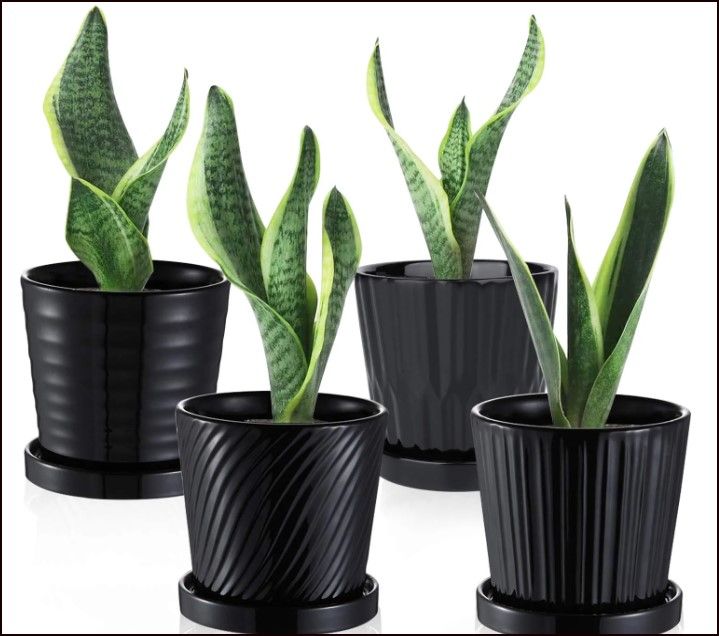 Photo 1 of  only 3 of 4 pots --Brajttt Flower Pots, 6 Inch Succulent Pots with Drinage,Indoor Round Planter Pots with Saucer, Cactus Planters with Hole,Outdoor Garden Pots (Black, 4 Pack) …
