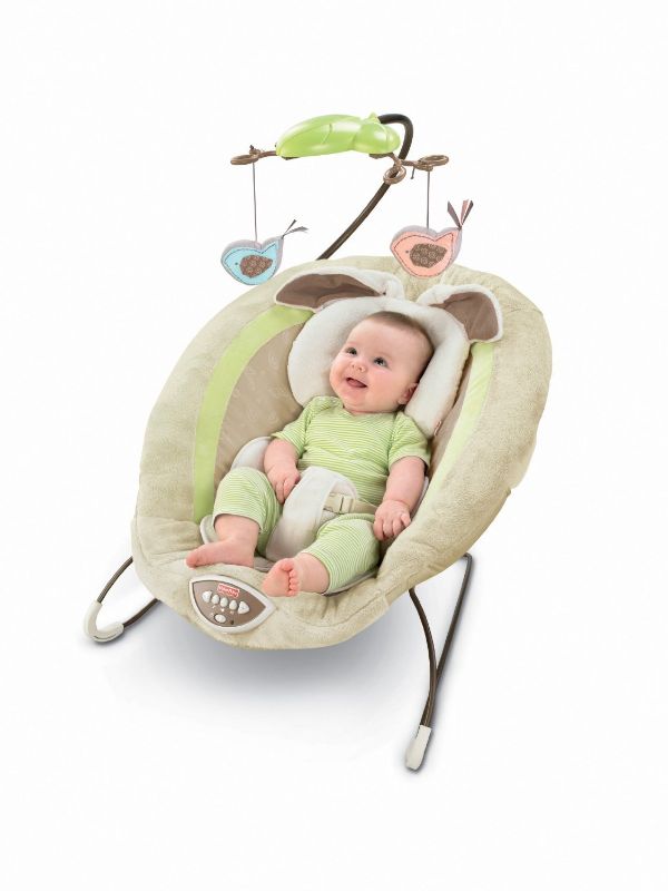 Photo 1 of Fisher-Price Snugabunny Deluxe Bouncer
