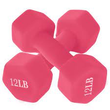 Photo 1 of **DAMAGED** Portzon dumbbells PINK 12-Pound, Pair