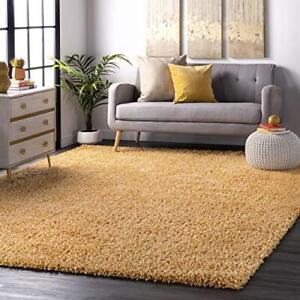 Photo 1 of 5'3"x7'7" nuLOOM Belleza Shag Accent Rug