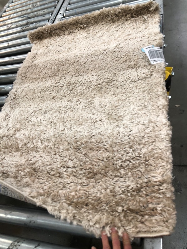 Photo 2 of 2'  x 3' Zermatt Shag Rug

