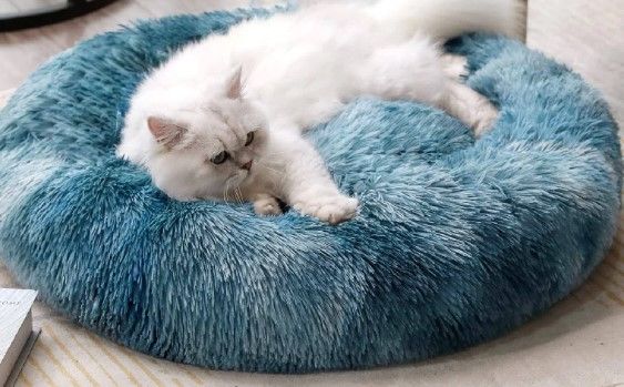 Photo 1 of 
Luciphia Round Dog Cat Bed Donut Cuddler, Faux Fur Plush Pet Cushion for Large Medium Small Dogs, Self-Warming and Cozy for Improved Sleep Gradient Blue,
Super Comfort: The bed is about 20”x 20”x 10'', perfect for your cat, or small dog up to 15lbs. With