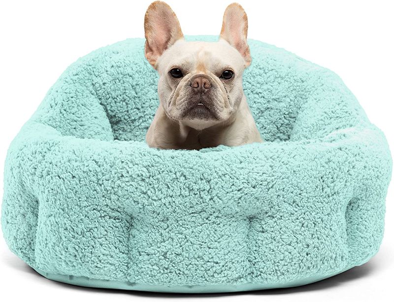 Photo 1 of Best Friends by Sheri OrthoComfort Deep Dish Cuddler Sherpa Cat and Dog Bed, Teal, Jumbo
